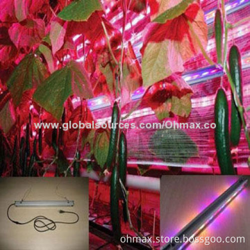 Hydroponic LED Grow Lights for Indoor Plants Growing, Tomato/Cucumber/Bitter Gourd, with Double Face